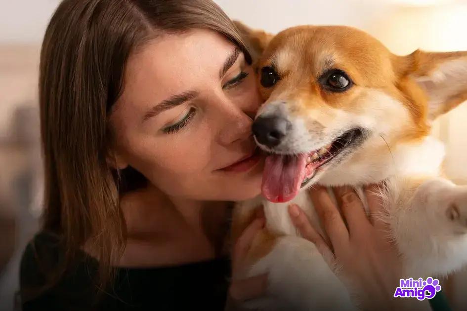 Cuidados necessários para cães em casa Cuidados necessários para cães em casa