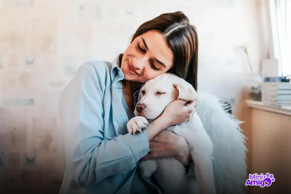 Cuidados veterinários essenciais Cuidados veterinários essenciais