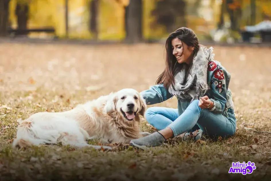 Curiosidades sobre cachorros inteligentes