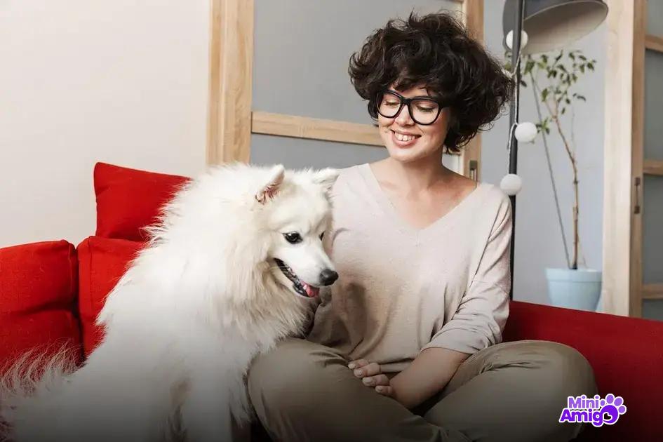 Depoimentos de donos sobre seus cachorros fofos