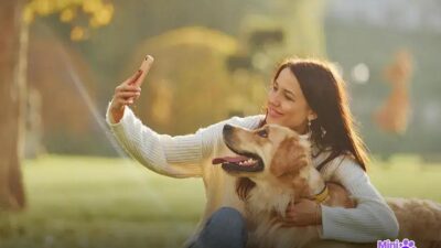 Descubra Qual a Raça de Cachorro Que Vive Menos e Por Quê