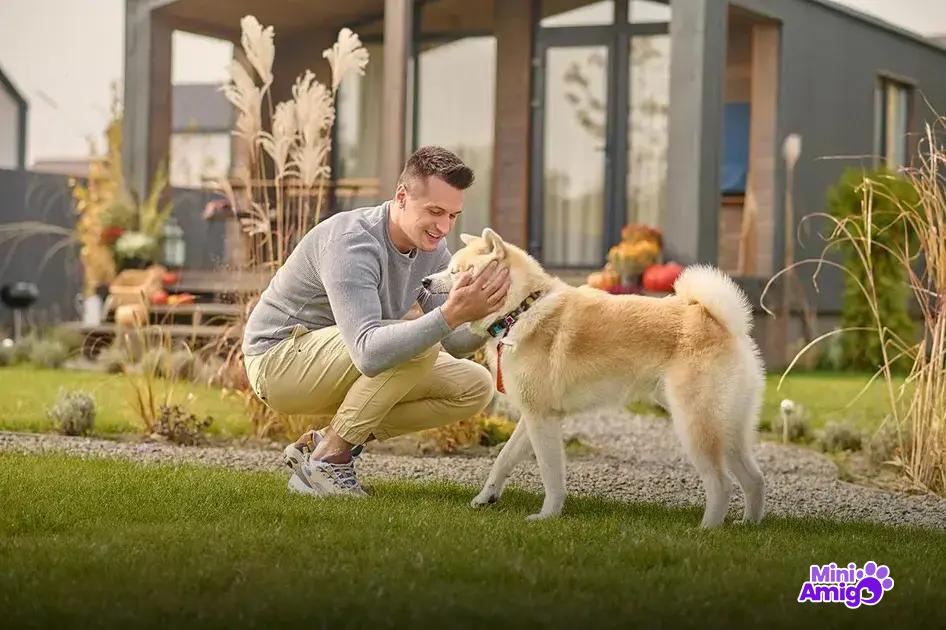 Expectativa de vida canina Expectativa de vida canina
