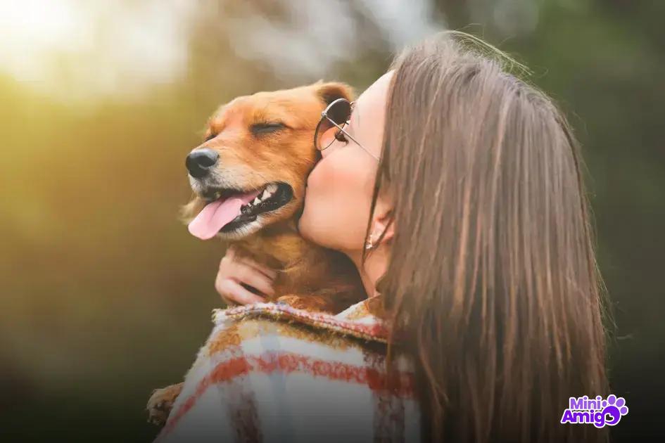Fatores que influenciam o número de cachorros Fatores que influenciam o número de cachorros
