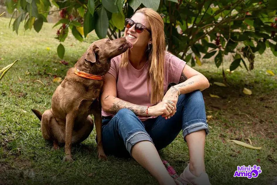 Impacto da adoção de cães nas estatísticas globais Impacto da adoção de cães nas estatísticas globais