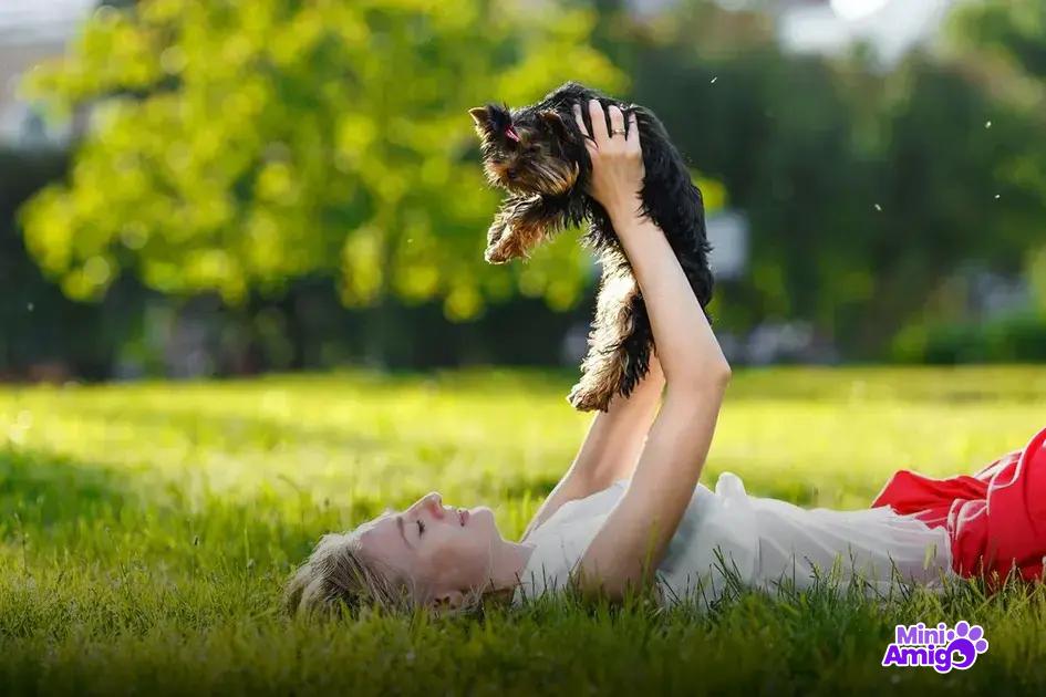 Impacto da popularidade no preço do cachorro Impacto da popularidade no preço do cachorro