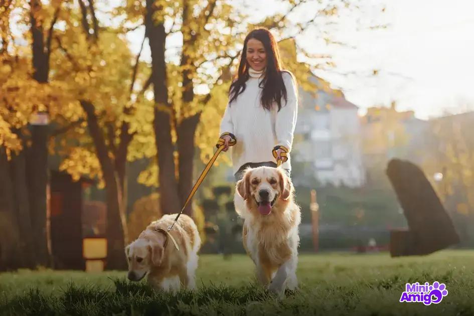 Impacto dos cães na história do homem