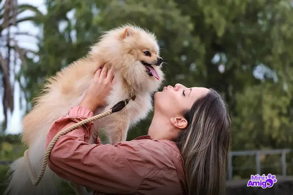 Mitigando problemas de comportamento em cachorros Mitigando problemas de comportamento em cachorros