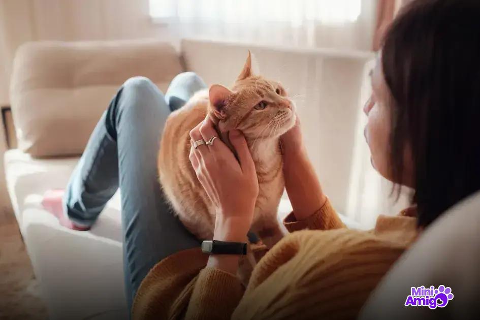 Mitos e verdades sobre a vacina antirrábica