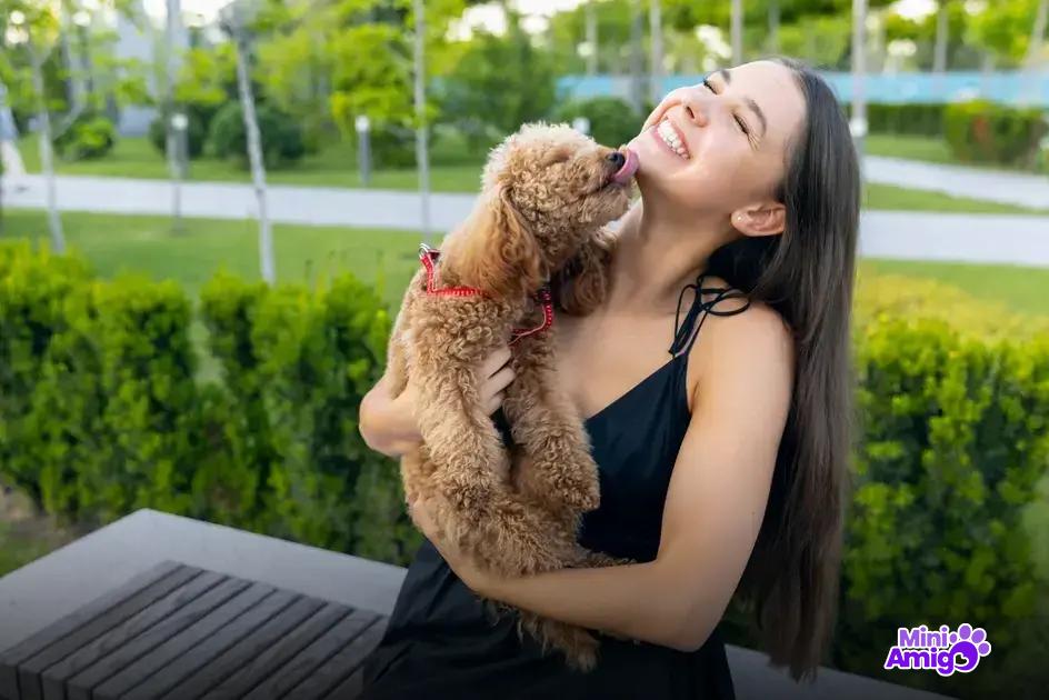Mitos Sobre Raças de Cachorros Bravos