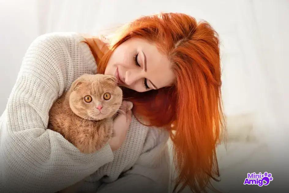 Nomes de Gato Macho Baseados em Cores Nomes de Gato Macho Baseados em Cores