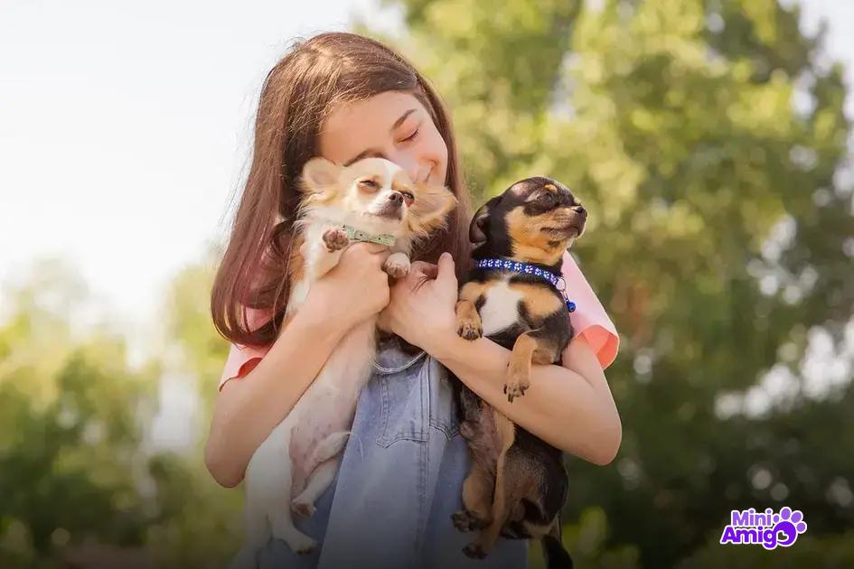 O impacto da velocidade na saúde do cão