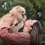 O que Fazer: Cachorro Comeu Chocolate e Agora?