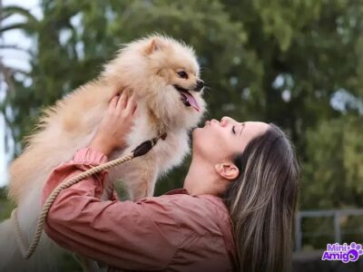 O que Fazer: Cachorro Comeu Chocolate e Agora?
