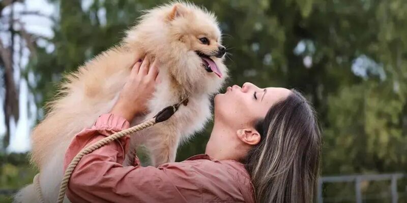 O que Fazer: Cachorro Comeu Chocolate e Agora?