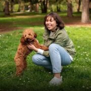 Os 6 Cachorros Mais Fortes do Mundo: Conheça os Gigantes
