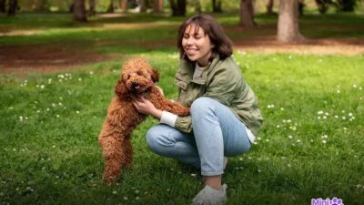Os 6 Cachorros Mais Fortes do Mundo: Conheça os Gigantes