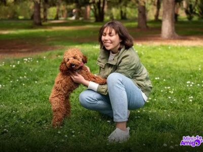 Os 6 Cachorros Mais Fortes do Mundo: Conheça os Gigantes