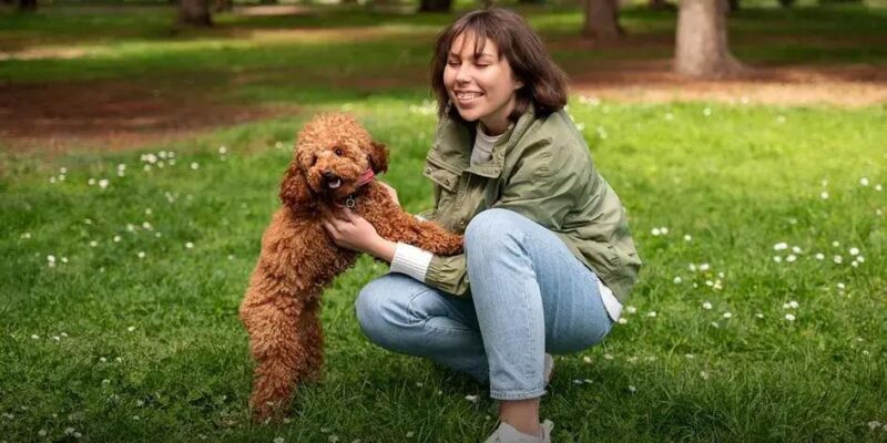Os 6 Cachorros Mais Fortes do Mundo: Conheça os Gigantes