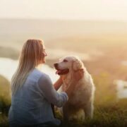 Por que cachorro é chamado de cão? Entenda essa curiosidade!