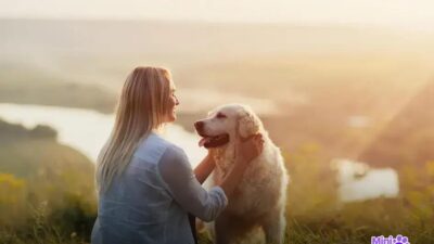Por que cachorro é chamado de cão? Entenda essa curiosidade!