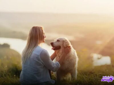 Por que cachorro é chamado de cão? Entenda essa curiosidade!