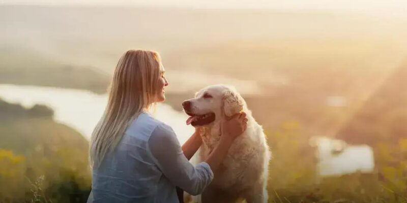 Por que cachorro é chamado de cão? Entenda essa curiosidade!