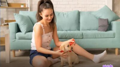 Porque o cachorro atende pelo nome? Entenda o fenômeno!