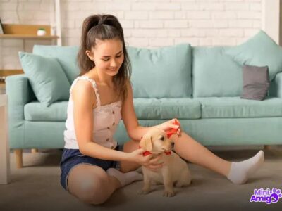 Porque o cachorro atende pelo nome? Entenda o fenômeno!