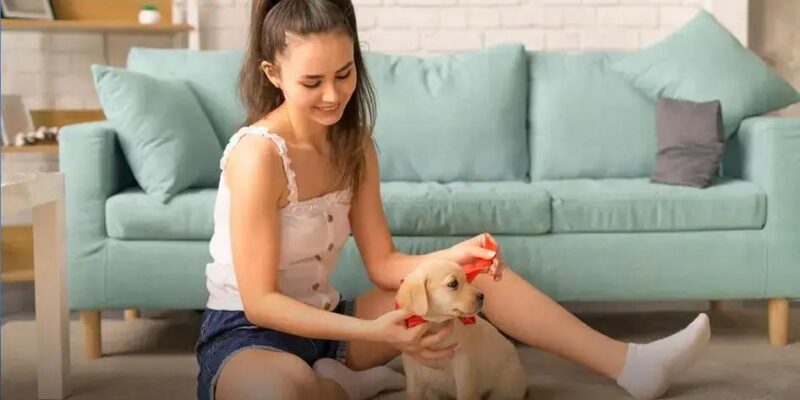 Porque o cachorro atende pelo nome? Entenda o fenômeno!