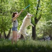 Porque o cachorro vive pouco? Descubra agora e cuide melhor!