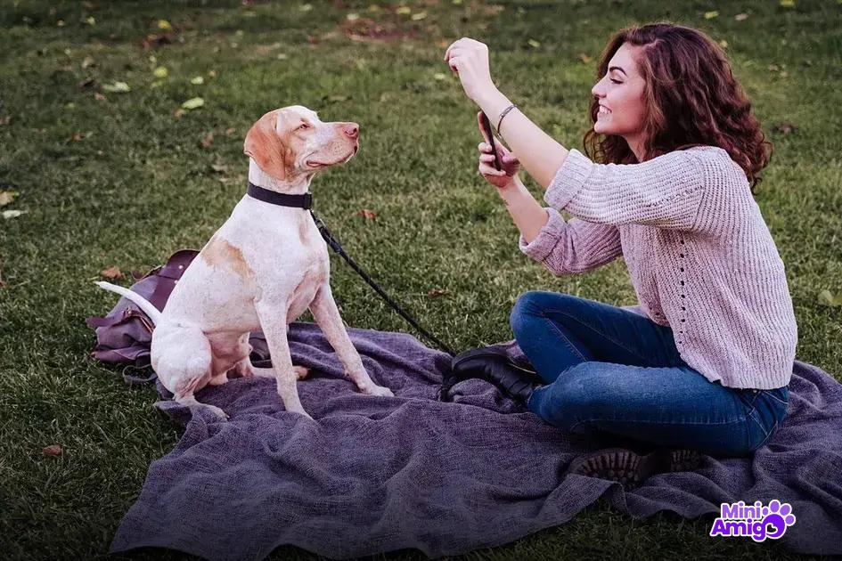 Psicologia canina: como os cães aprendem Psicologia canina: como os cães aprendem