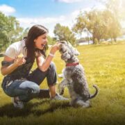 Quais são os 30 cachorros mais inteligentes do mundo? Descubra!