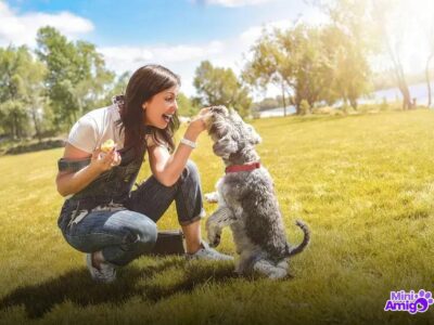 Quais são os 30 cachorros mais inteligentes do mundo? Descubra!
