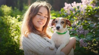 Qual a raça de cachorro mais bravo? Descubra agora!