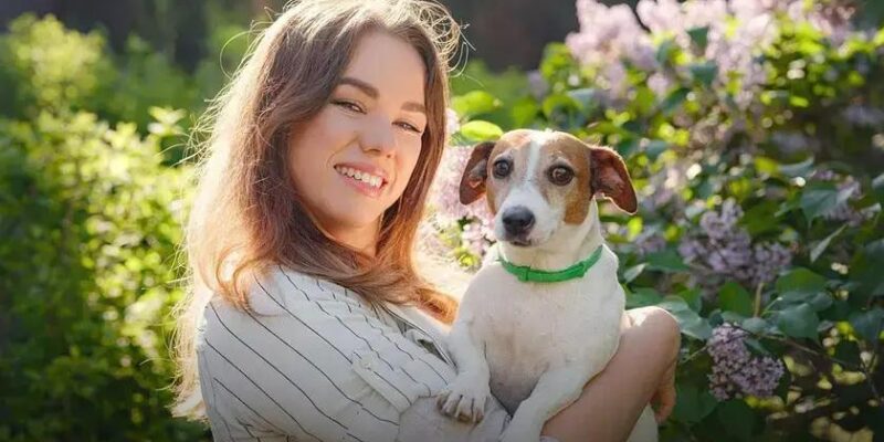 Qual a raça de cachorro mais bravo? Descubra agora!