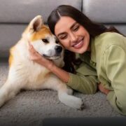 Qual a raça de cachorro mais inteligente? Descubra agora!
