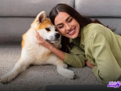 Qual a raça de cachorro mais inteligente? Descubra agora!