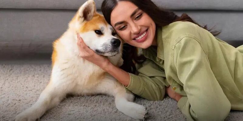 Qual a raça de cachorro mais inteligente? Descubra agora!