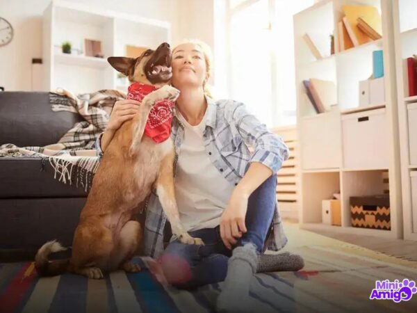 Qual a raça mais bagunceira de cachorro?
