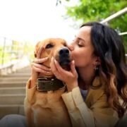 Qual cachorro não cresce muito? Descubra as melhores raças!