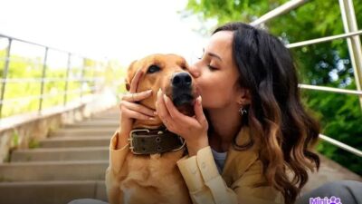 Qual cachorro não cresce muito? Descubra as melhores raças!