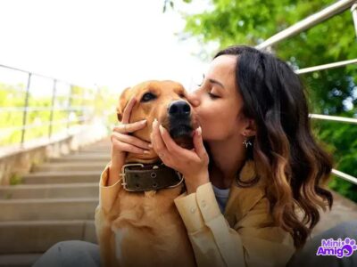 Qual cachorro não cresce muito? Descubra as melhores raças!
