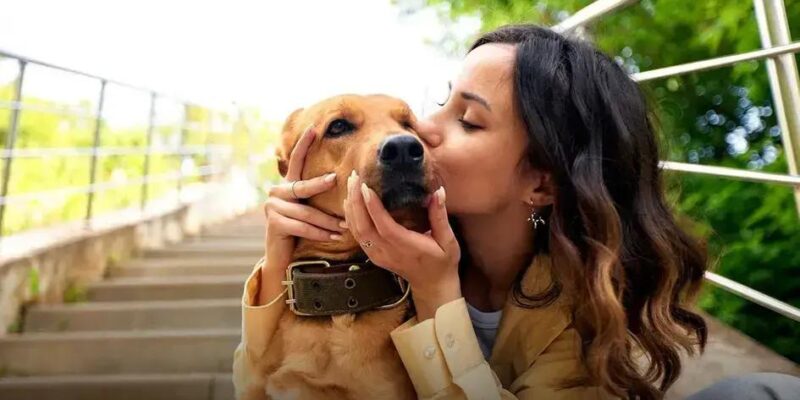 Qual cachorro não cresce muito? Descubra as melhores raças!