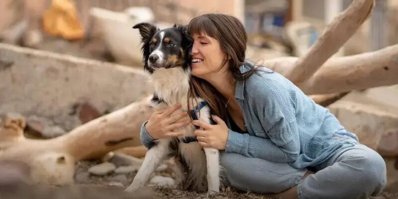 Qual é a raça de cachorro mais carinhosa? Descubra agora!