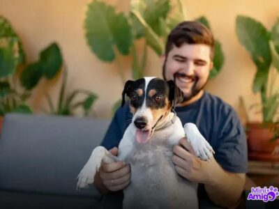 Qual é a raça de cachorro mais obediente? Descubra agora!