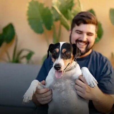 Qual é a raça de cachorro mais obediente? Descubra agora!