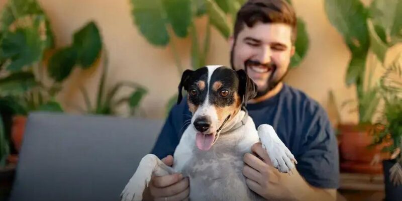 Qual é a raça de cachorro mais obediente? Descubra agora!