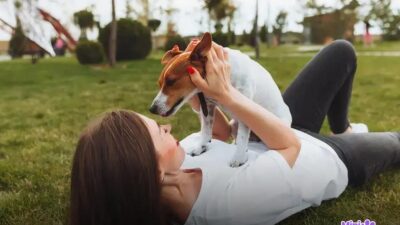 Qual é a raça mais brincalhona do mundo? Descubra agora!