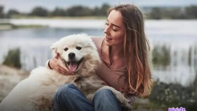 Qual é o cachorro mais caro do mundo? Descubra agora!