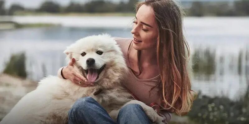 Qual é o cachorro mais caro do mundo? Descubra agora!